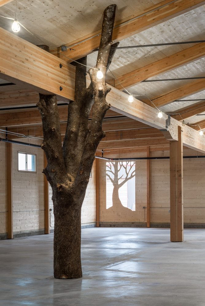 Paying homage to the trees used to create their CLT building, New Energy Works included a tree post and tree silhouette in their new building.