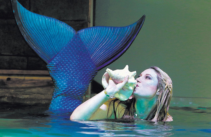 Mermaids are REAL at SeaQuest!