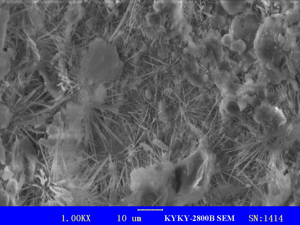 PENETRON in Action: The 1,000 SEM image of crystals filling cracks, pores and voids in concrete to block the passage of any water molecules (and harmful chemicals), making the concrete impermeable.