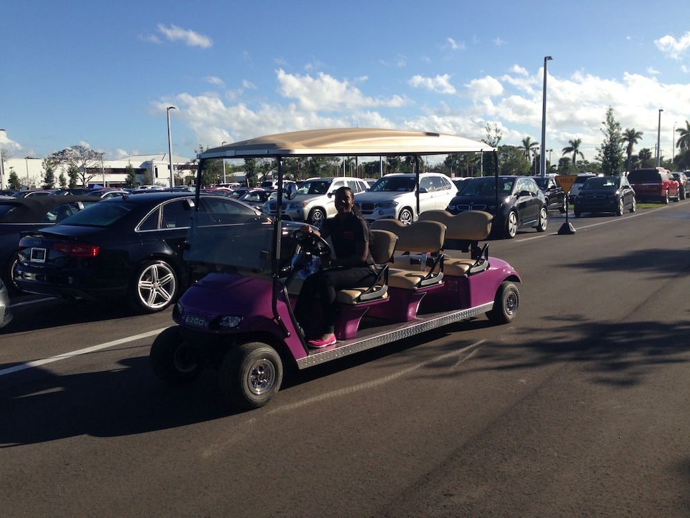 Off Lease Only Signature Purple Golf Carts!