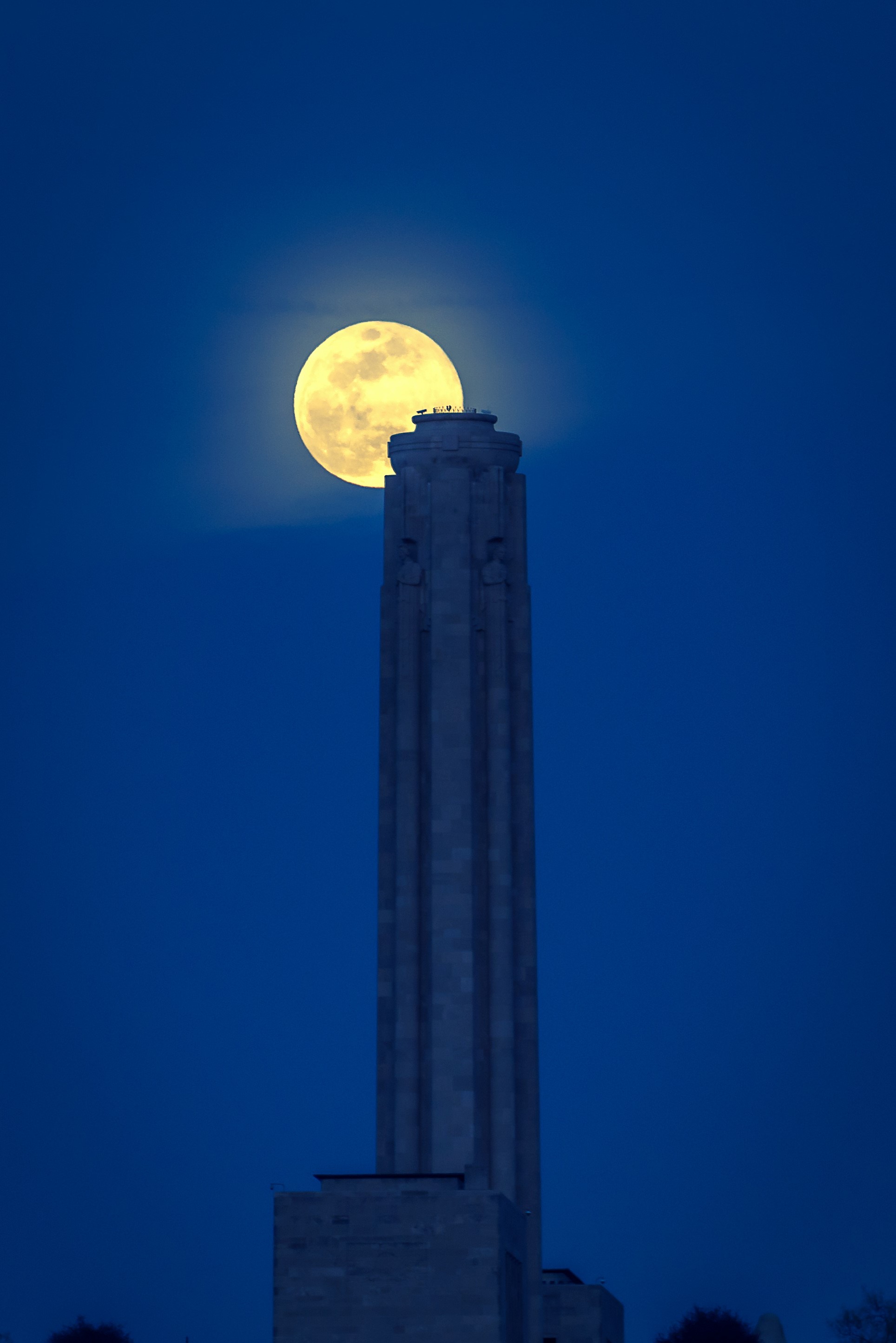 The National World War I Museum and Memorial is America’s leading institution dedicated to remembering, interpreting and understanding the Great War and its enduring impact on the global community.