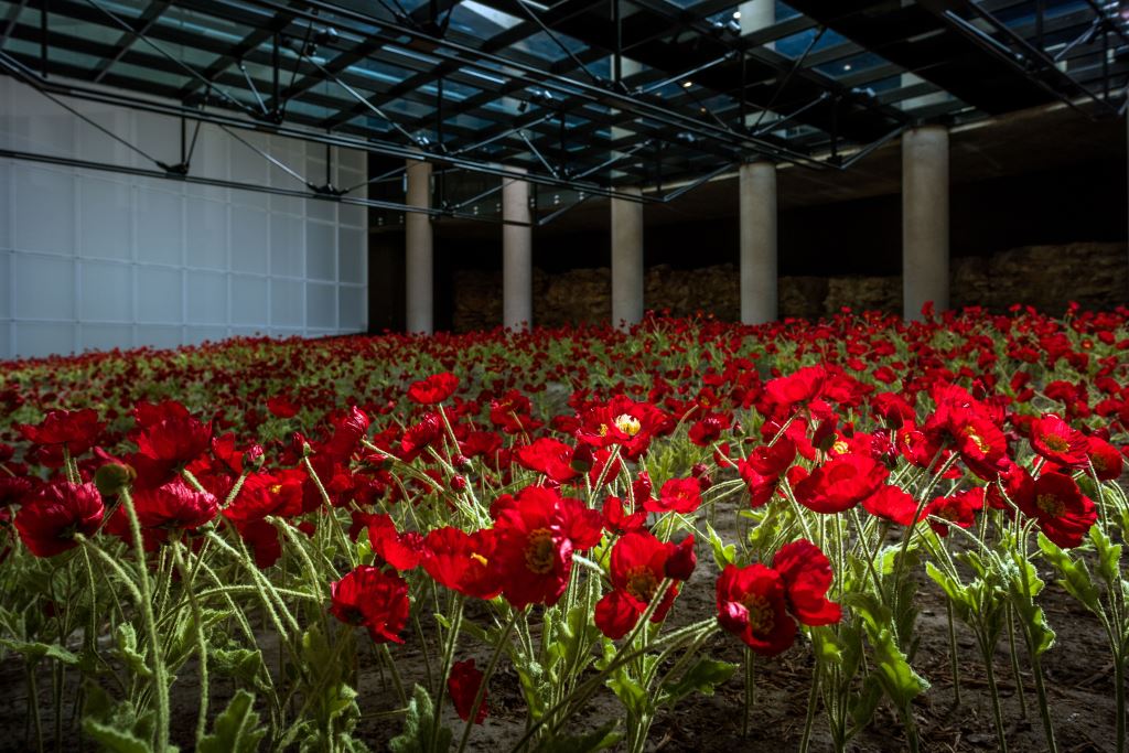 The Museum will virtually “share a poppy” through social media to honor veterans at https://www.facebook.com/theworldwar and https://twitter.com/thewwimuseum.