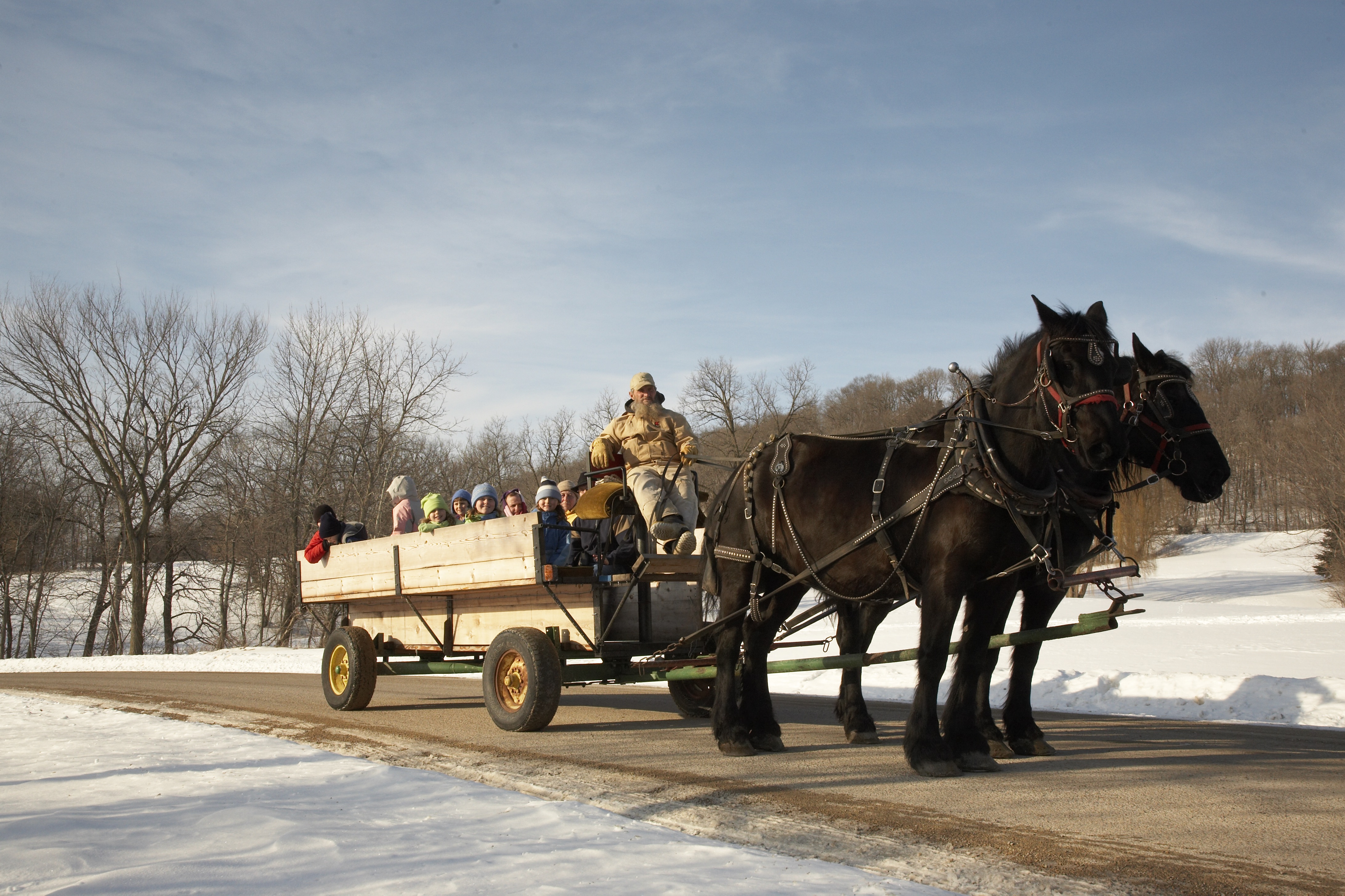 Sleigh rides with the Shenandoah Riding Center