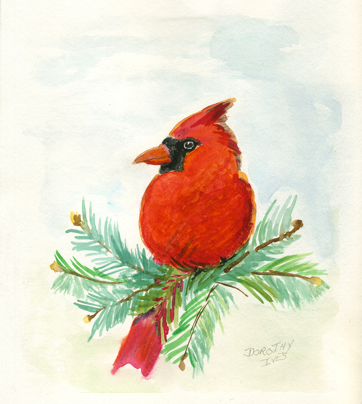 Cardinal artwork created by Dorothy Ives of New Perspective Senior Living, Waconia, Minn. will be featured in Christmas cards for the residences' 21 communities throughout the Midwest.
