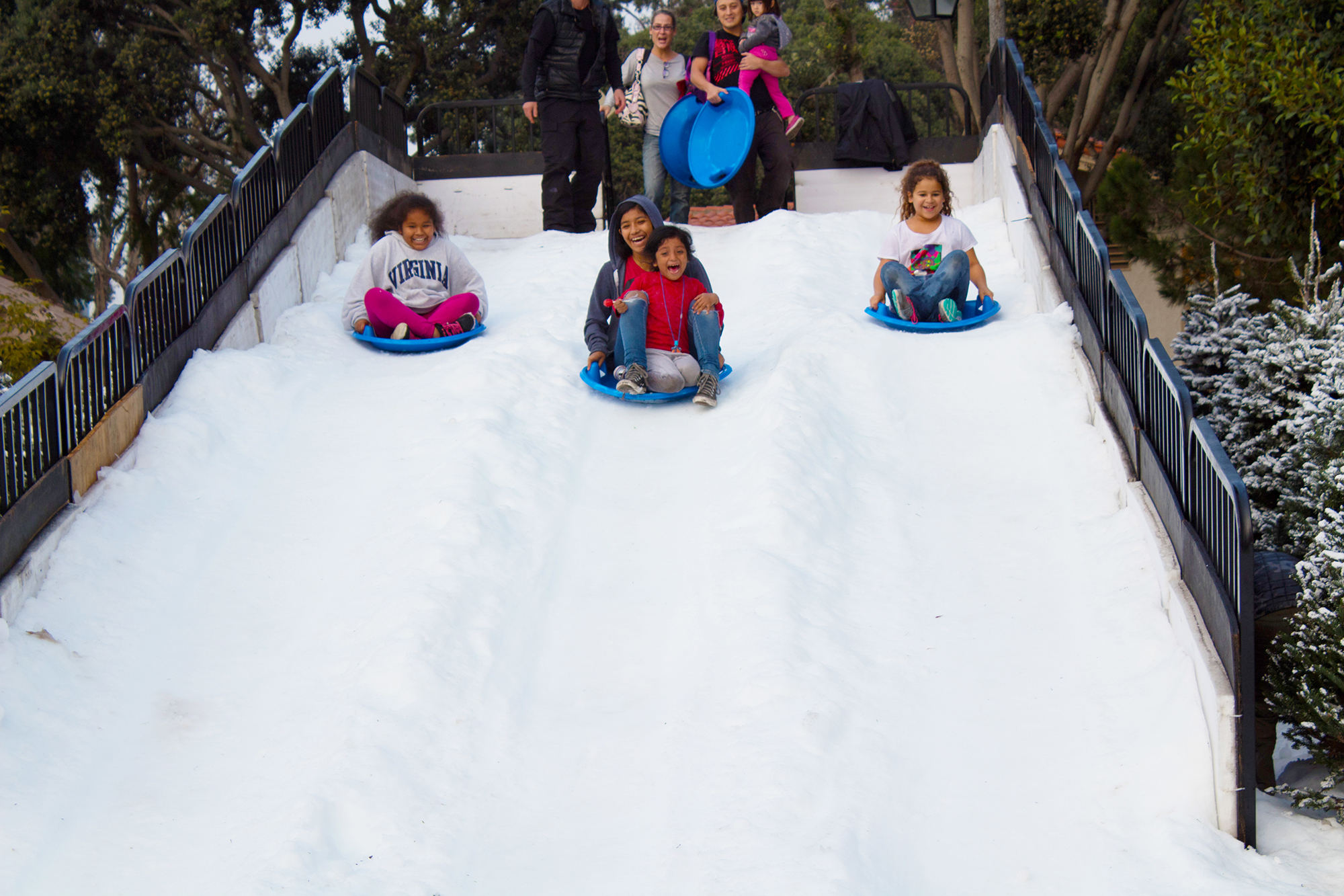 Snow Wonder transforms Marina del Rey's Burton Chace Park into a winter wonderland with 80 tons of real snow used to create a sledding hill and snow-kissed pine forest.