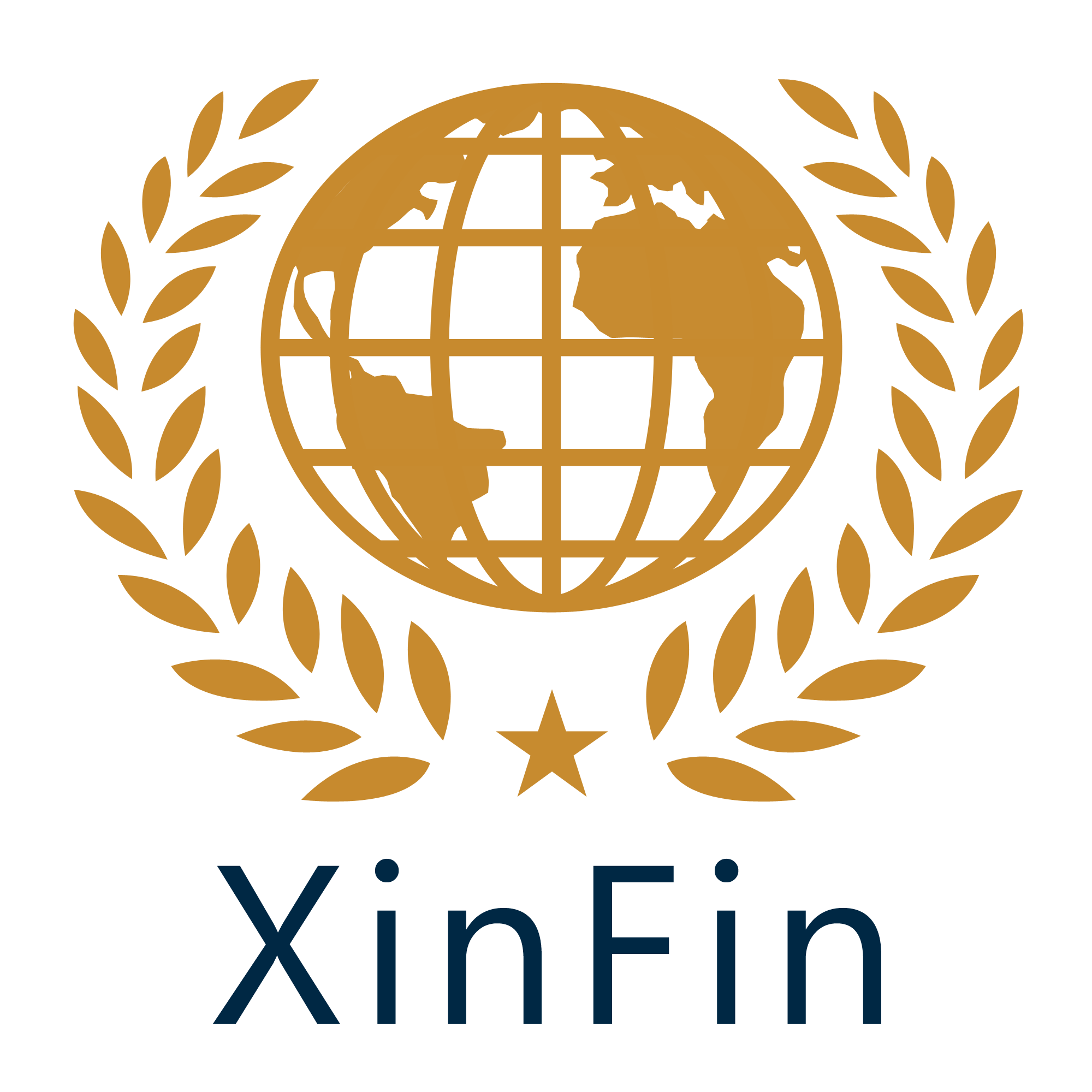XinFin Logo