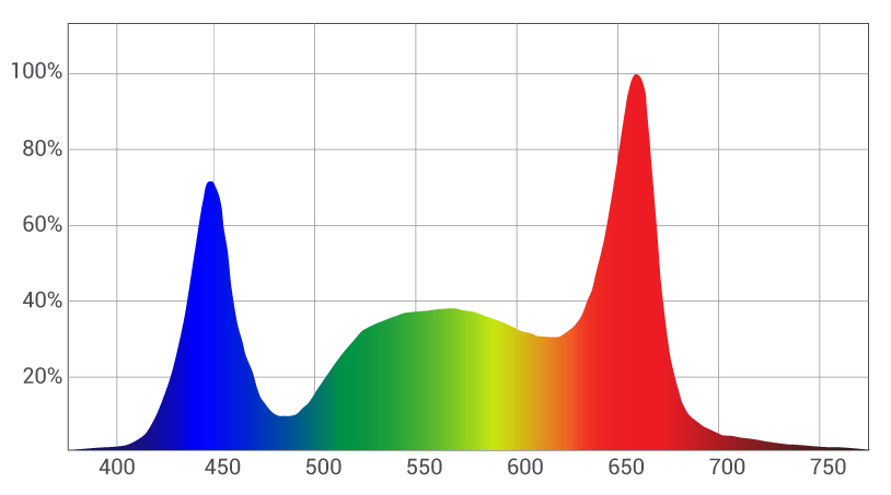 Illumitex’s Enhanced Full Spectrum Ideal for Flowering Plants