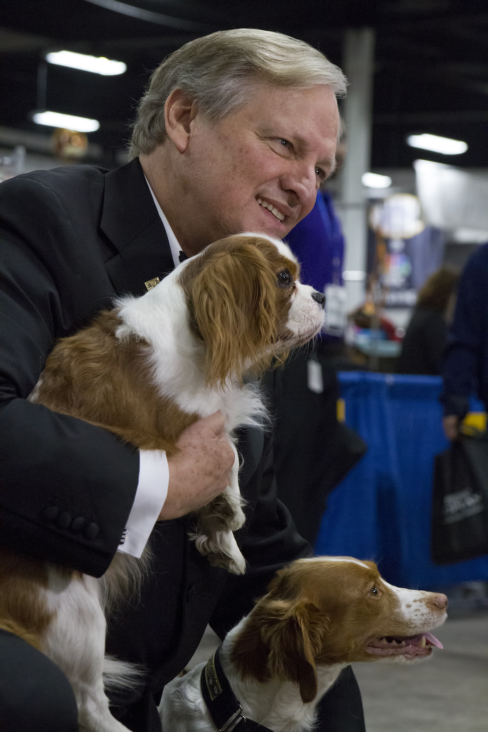 David Frei with Angel and Grace at National Dog Show 2015