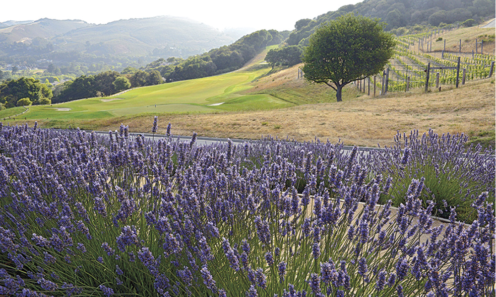 Carmel Valley Ranch