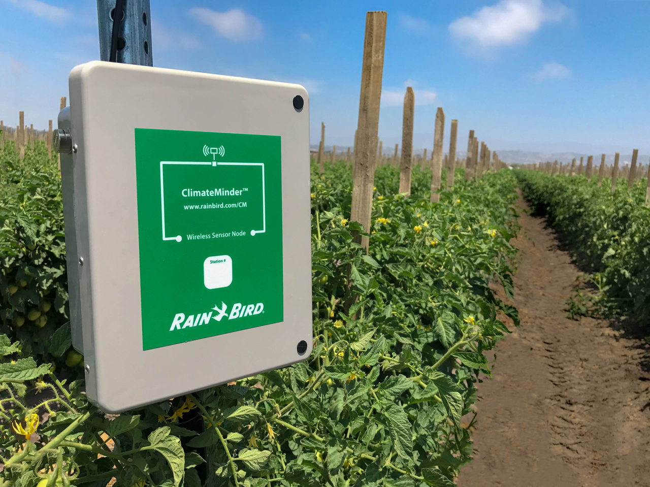 With Rain Bird Agriculture’s new entry-level ClimateMinder™ soil moisture monitoring system, growers can view their fields’ soil moisture data from any internet-enabled device.