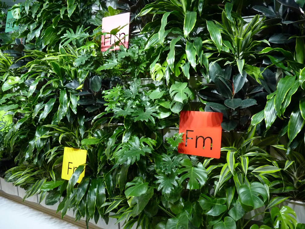 A Lush Mix of Tropicals Are at Home in the LiveWall Living Wall System