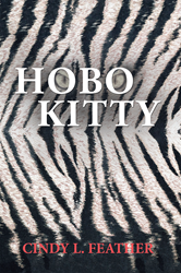 New Fiction Book Chronicles Adventures of Hobo Kitty and Her Owner 