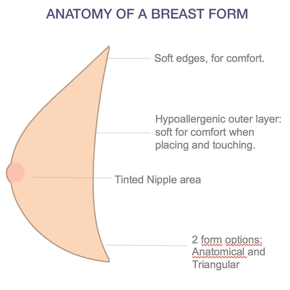 Anatomy of a Mia Breast Form