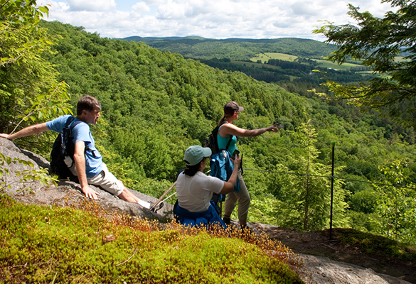 Three levels of guided hikes are offered each day
