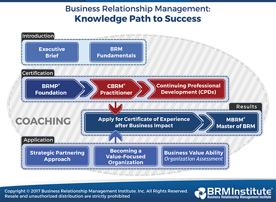 BRM Institute's Knowledge Path to Success