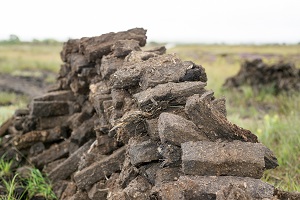 Stacks of peat drying after being dug from bogs.