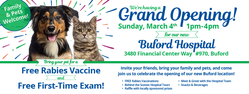 Grand%20Opening%20Buford Facebook%20Cover
