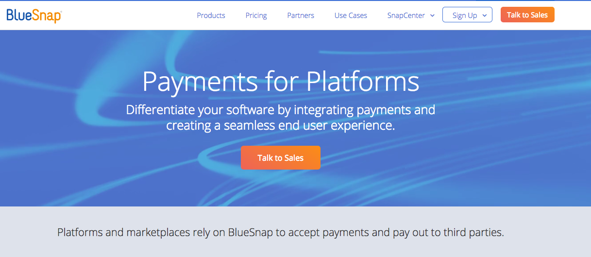 BlueSnap's Payments for Platforms