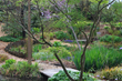 Juniper Level Botanic Garden in early spring.