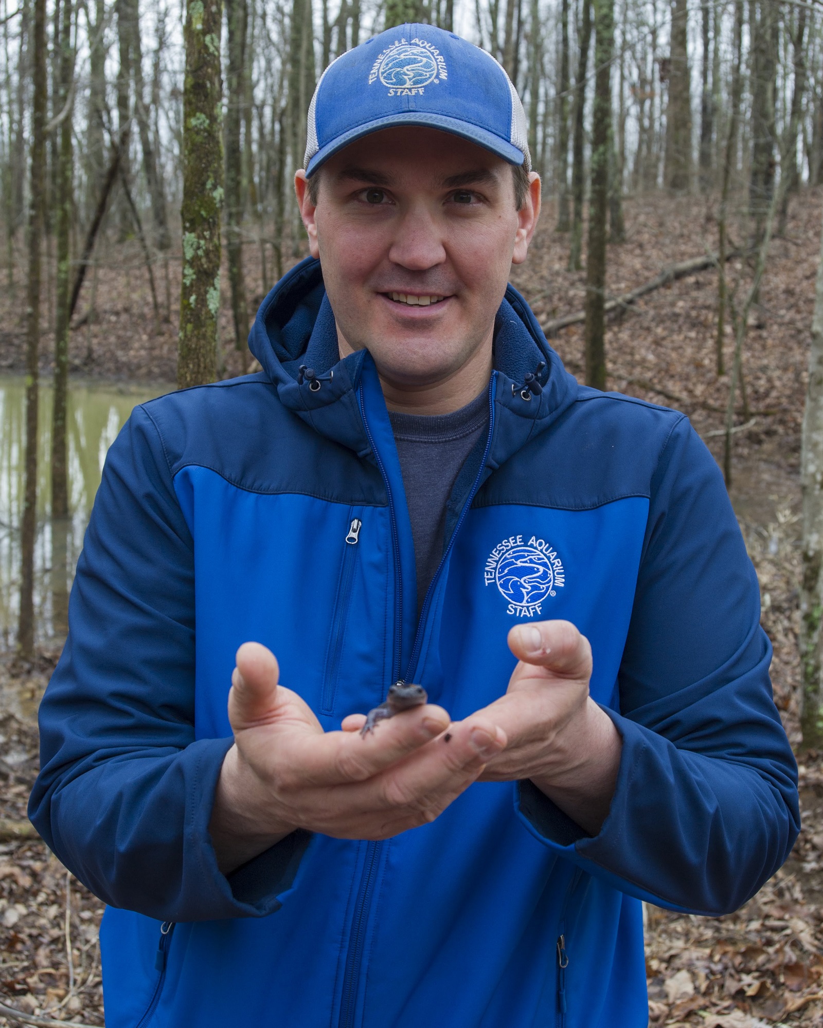 Dr. Josh Ennen with a spotted salamander.