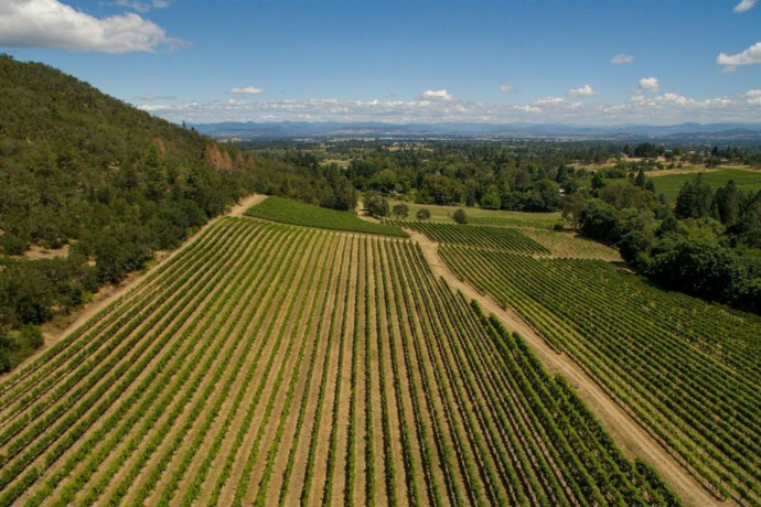 Cascade Sotheby's expands vineyard division with new broker