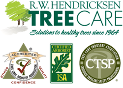 Hendricksen Tree Care Services