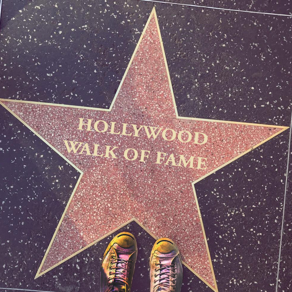 The world famous Hollywood Walk of Fame.