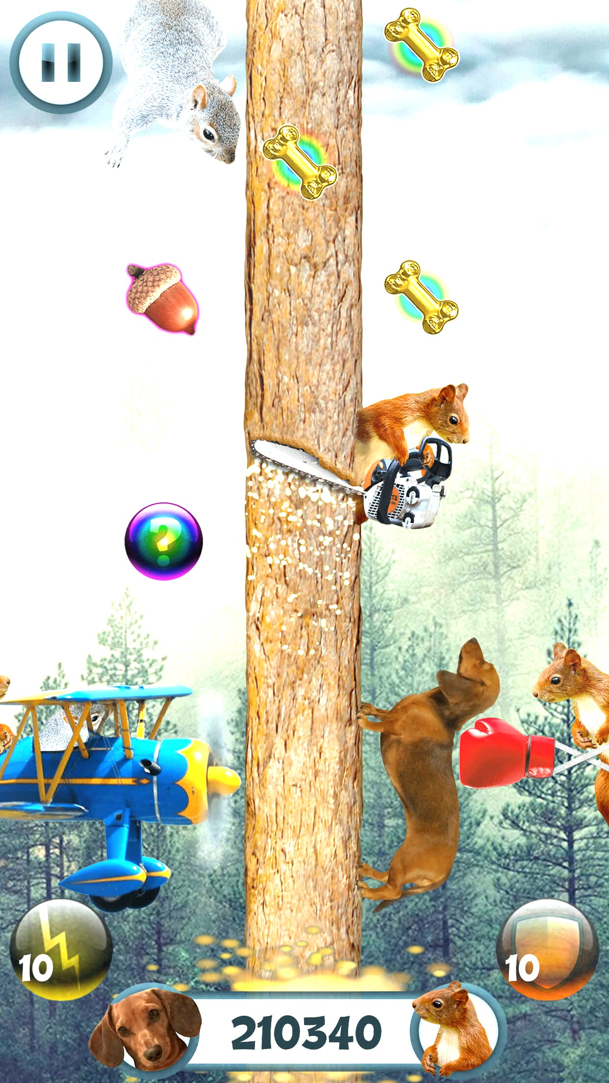 Fandomodo's Wild Wiener mobile game features a dachshund dodging squirrels.