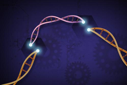 CRISPR Cas9 Image Credit:  Ernesto del Aguila III, NHGRI, Attribution-Non Commercial License - https://creativecommons.org/licenses/by-nc/4.0/legalcode