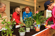 Older adults enjoying a therapeutic horticulture session in an Eldergrow garden.