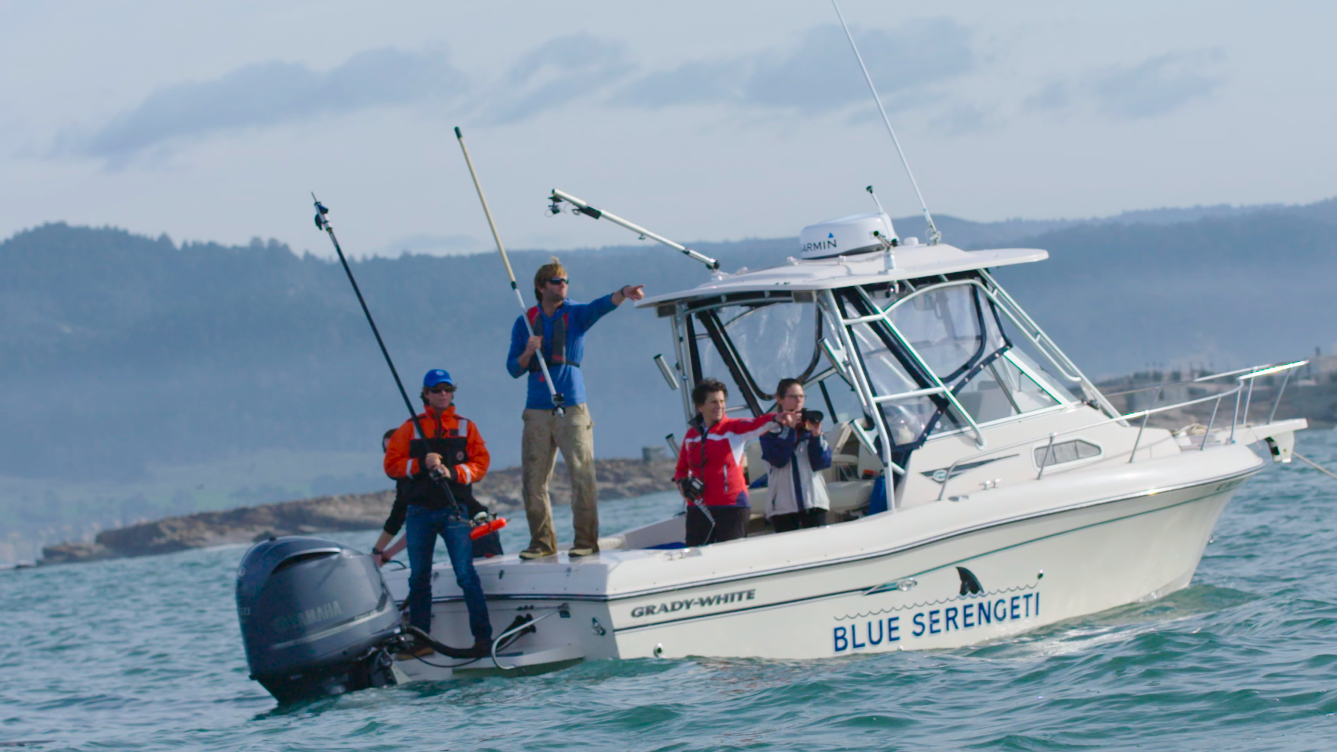 Sal Jorgensen, Taylor Chapple, B. Block and Natalie Arnoldi working to tag a white shark in back of the Stanford research boat Blue Serengeti, inside Ano Nuevo Reserve in California.