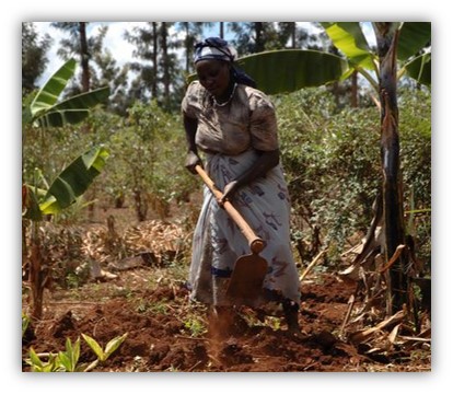 Kenyan Farmer