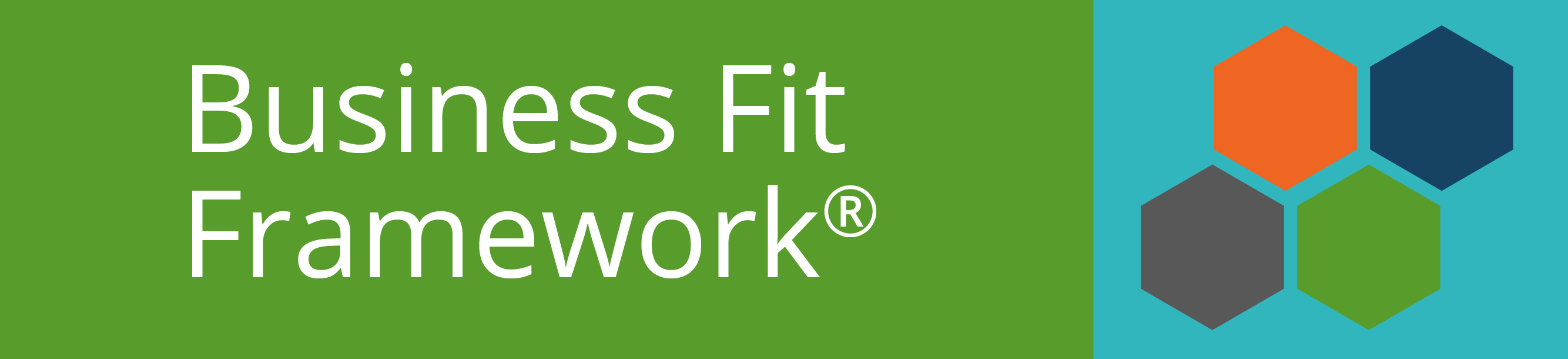 Business Fit Framework