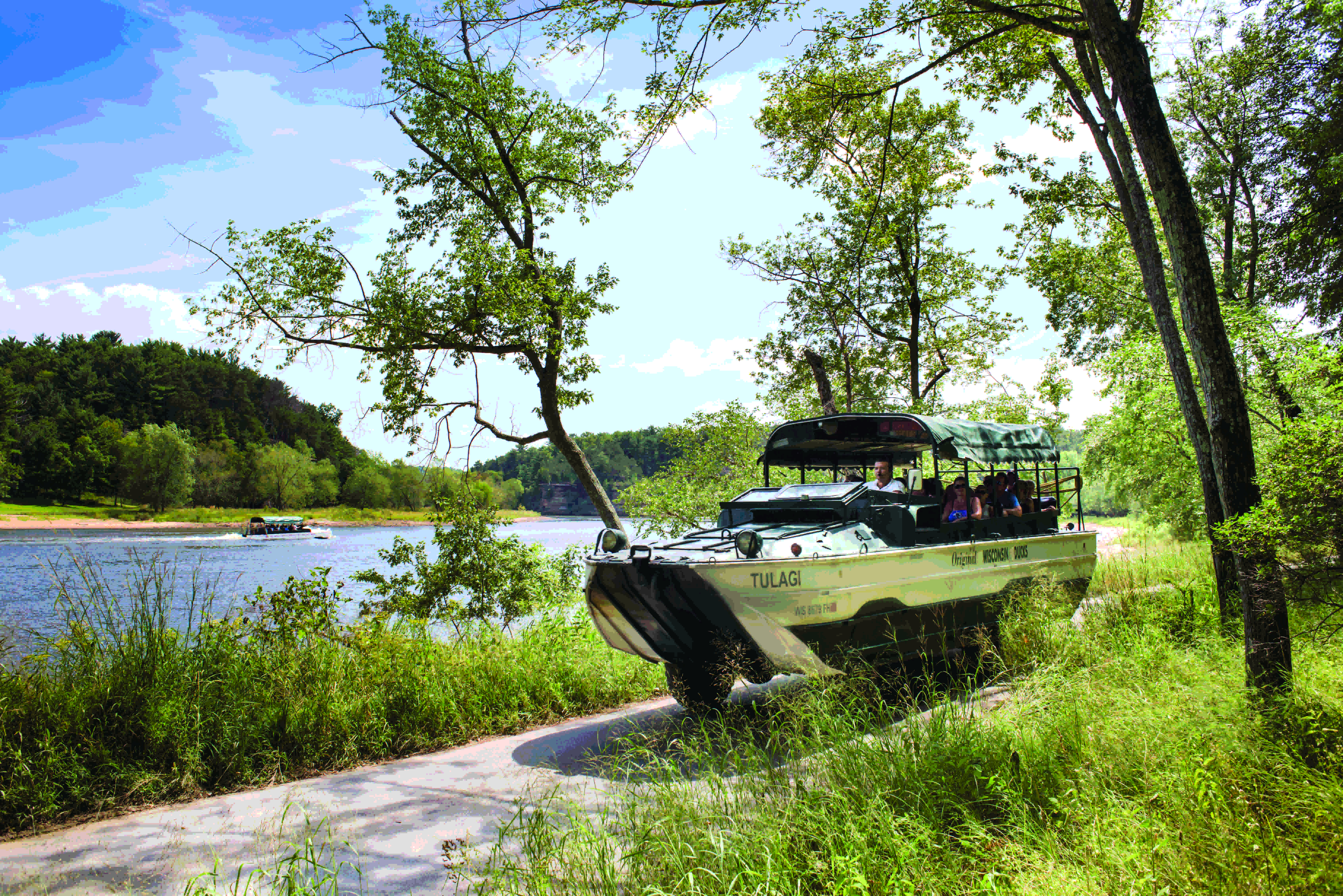 Ducks travel the woods away from the busy parkway in Wisconsin Dells.