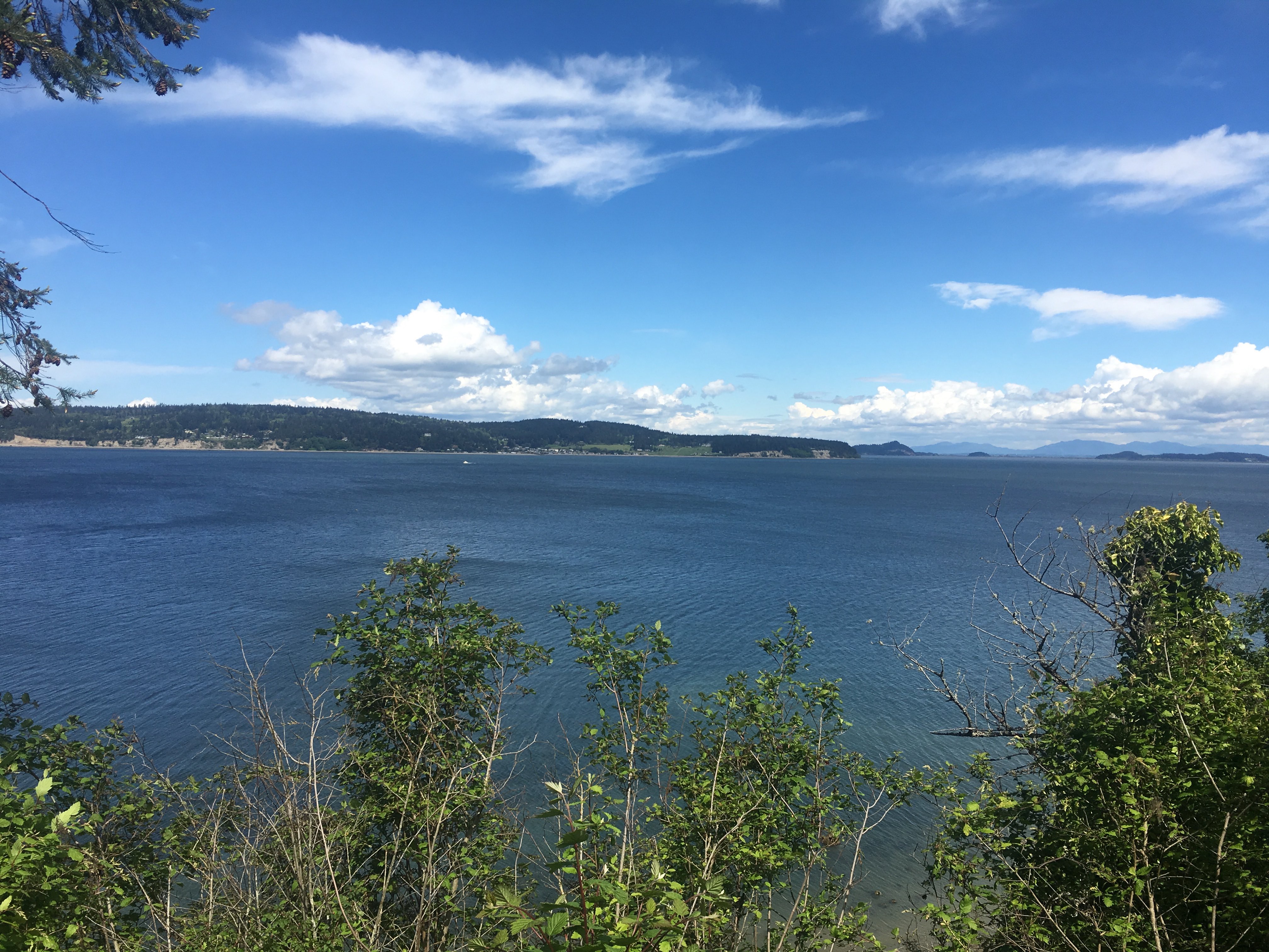 Artists and visitors alike are inspired by the beauty of Camano Island