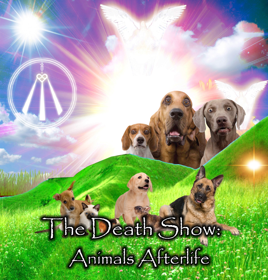 The Death Show: Animal Afterlife