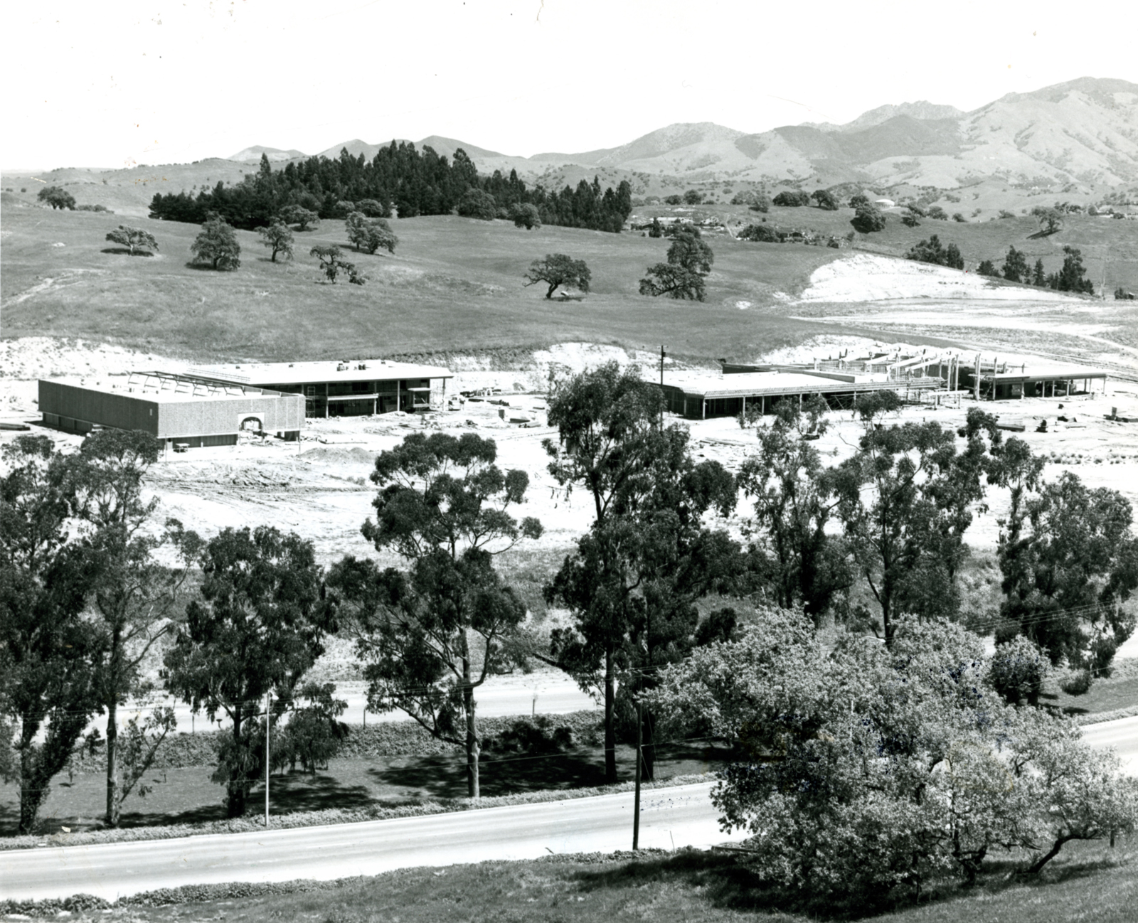 Rossmoor Shopping Center in Walnut Creek circa 1965.
