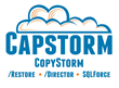 Capstorm- Salesforce Disaster Recovery Experts since 2011