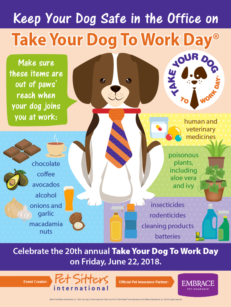 Keep your dogs safe in the office on Take Your Dog To Work Day.