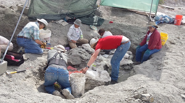 Digging for dinosaur bones near Grand Junction