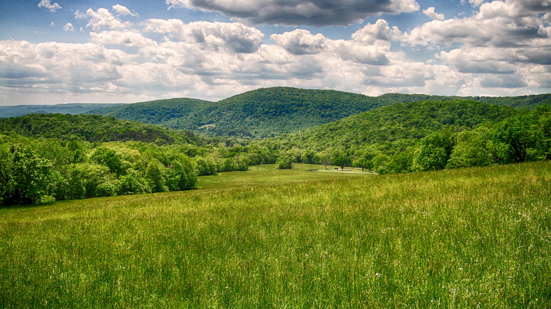 Mountain Views