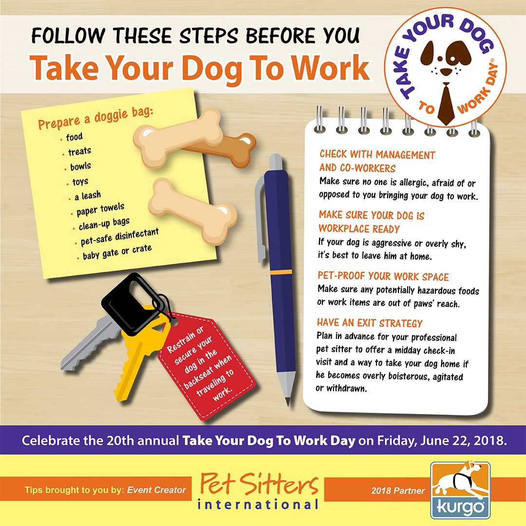 Follow these steps before you take your dog to work.