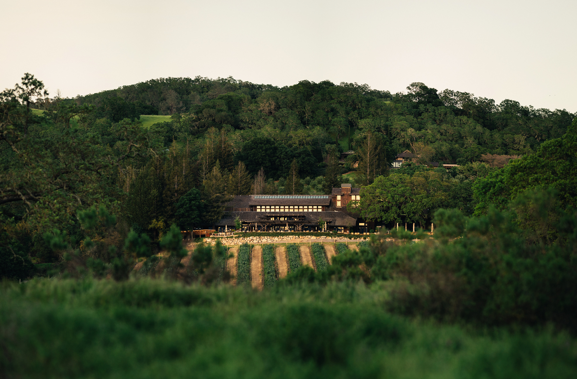 Joseph Phelps Vineyards, Napa Valley