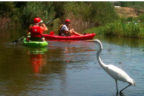 Kayakers and wildlife learn to coexist.