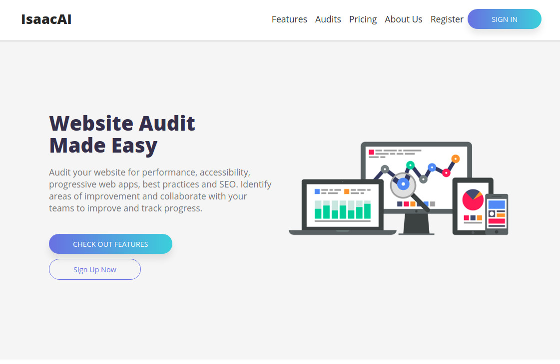 IsaacAI - Online Website Auditing Tool