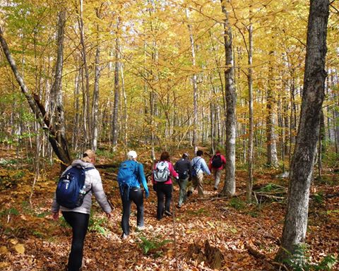 fall foliage group tour hike on vermonts appalachian trail
