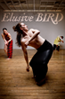Rebecca Stenn Company Premiers &quot;Elusive Bird&quot; in Brooklyn