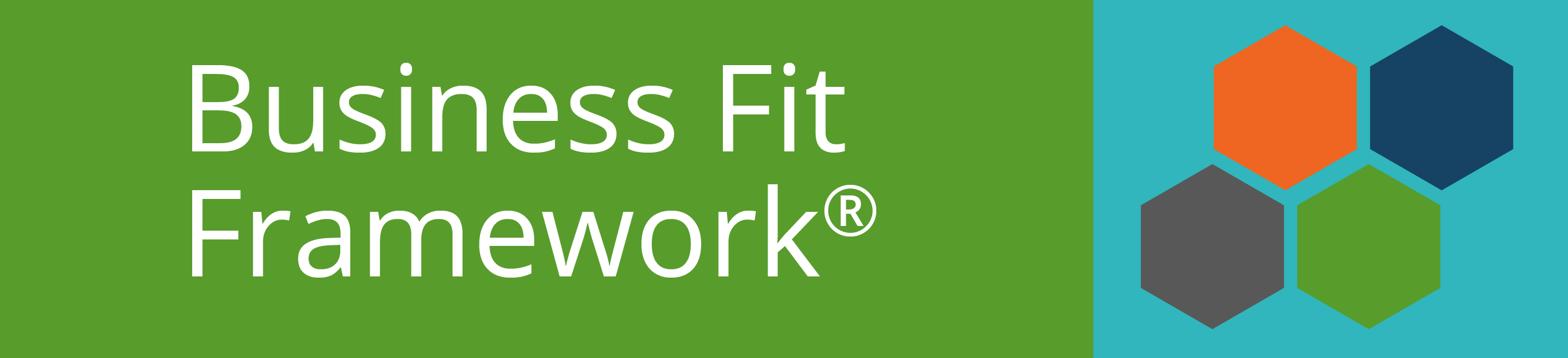 Business Fit Frawework SW Tool