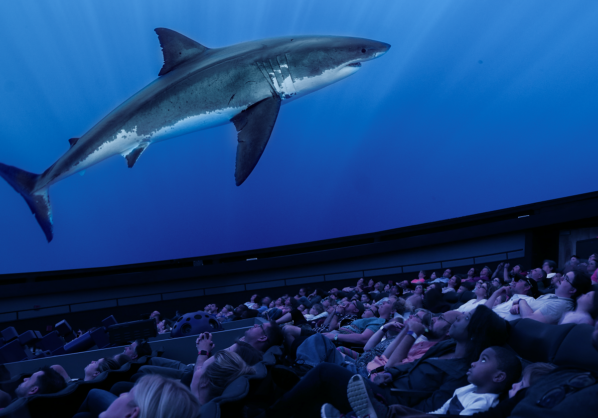 Guests can purchase tickets to see the giant screen film, Great White Shark, in the Sudekum Planetarium