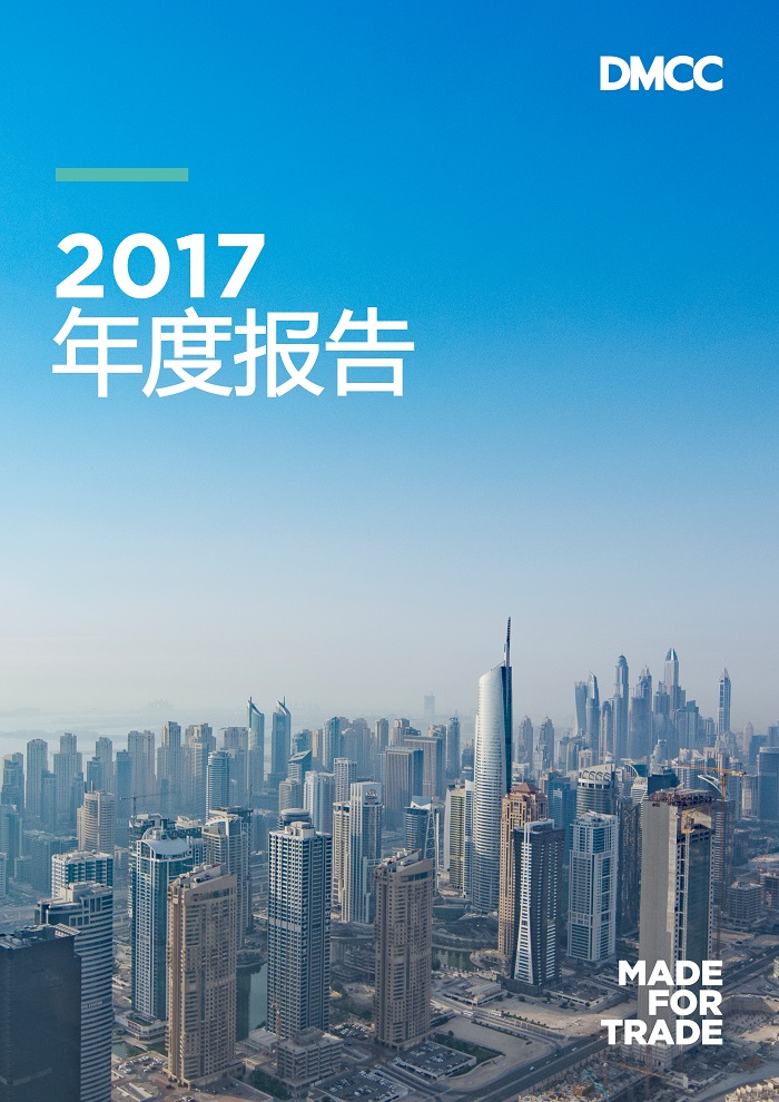 DMCC Annual Report Cover Image Skyline